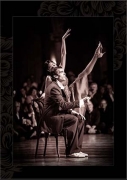 Michael Pohl - Posterbuch The Art of Tango